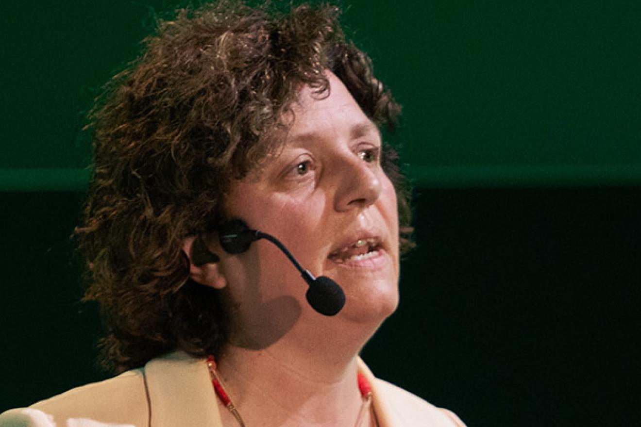 Schoolbouwformule - Nele Daenen